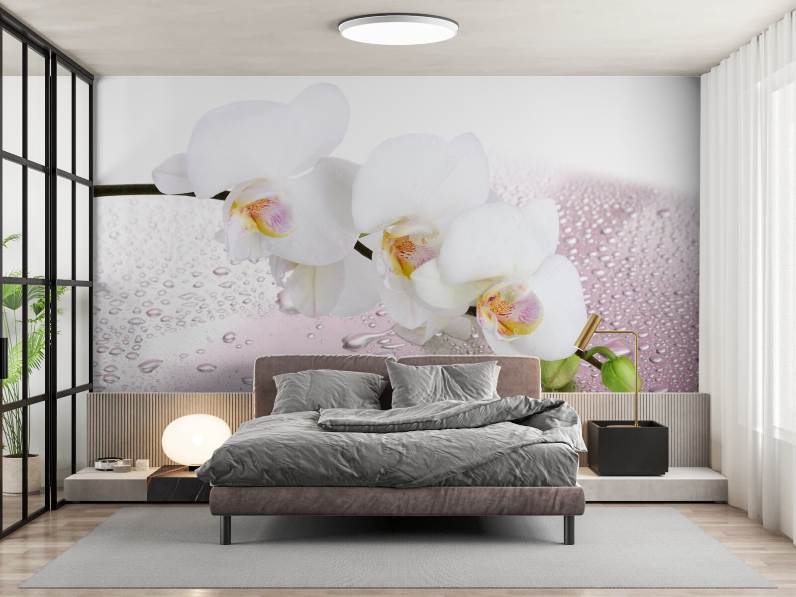 Papier peint branche d'orchidée blanche mouillée décorée de gouttes d'eau