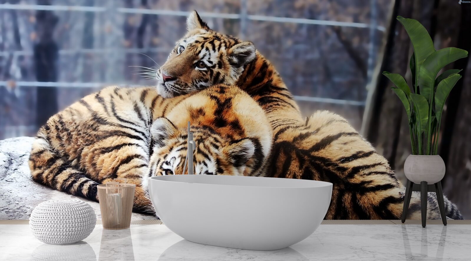 Papier peint Les tigres endormis ont de la beauté