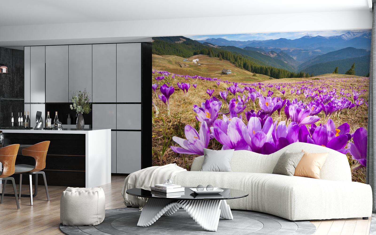 Papier peint les crocus de montagne sont violets