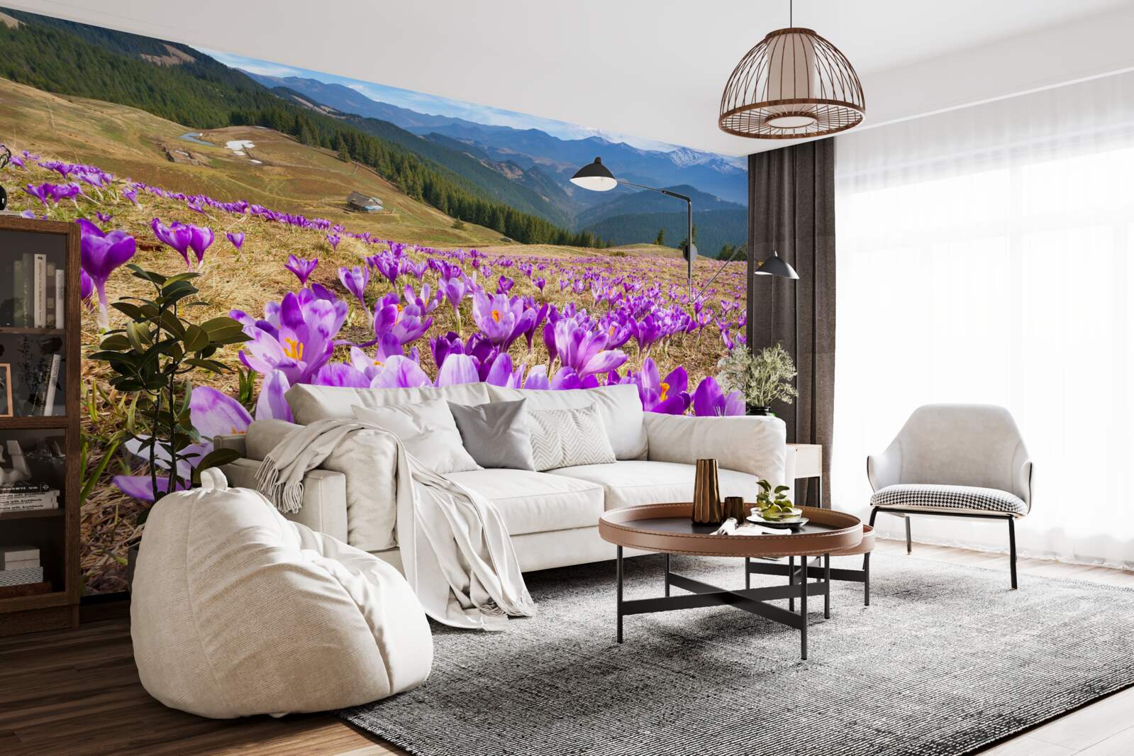 Papier peint les crocus de montagne sont violets