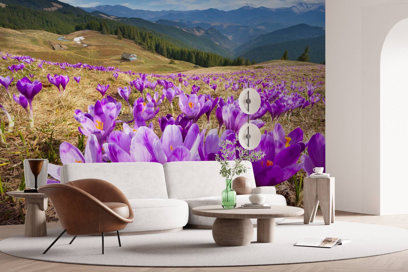 Papier peint les crocus de montagne sont violets