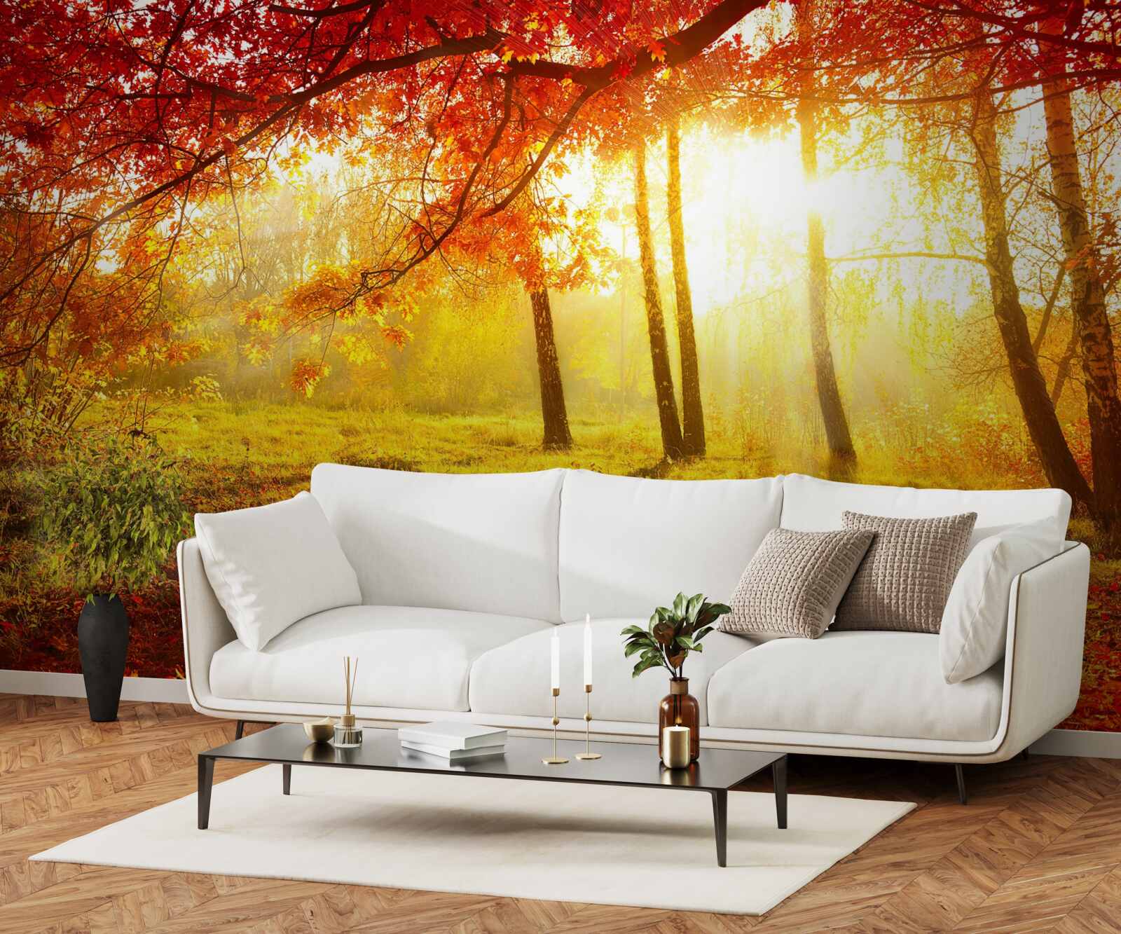 Papier peint de froids rayons de soleil percent la brume d'automne