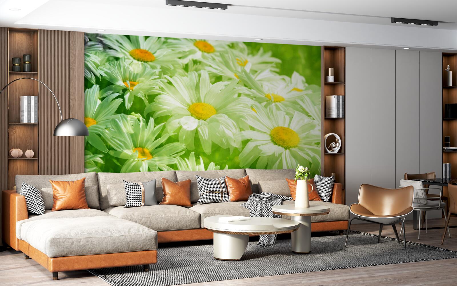 Papier peint des marguerites douces parmi la verdure