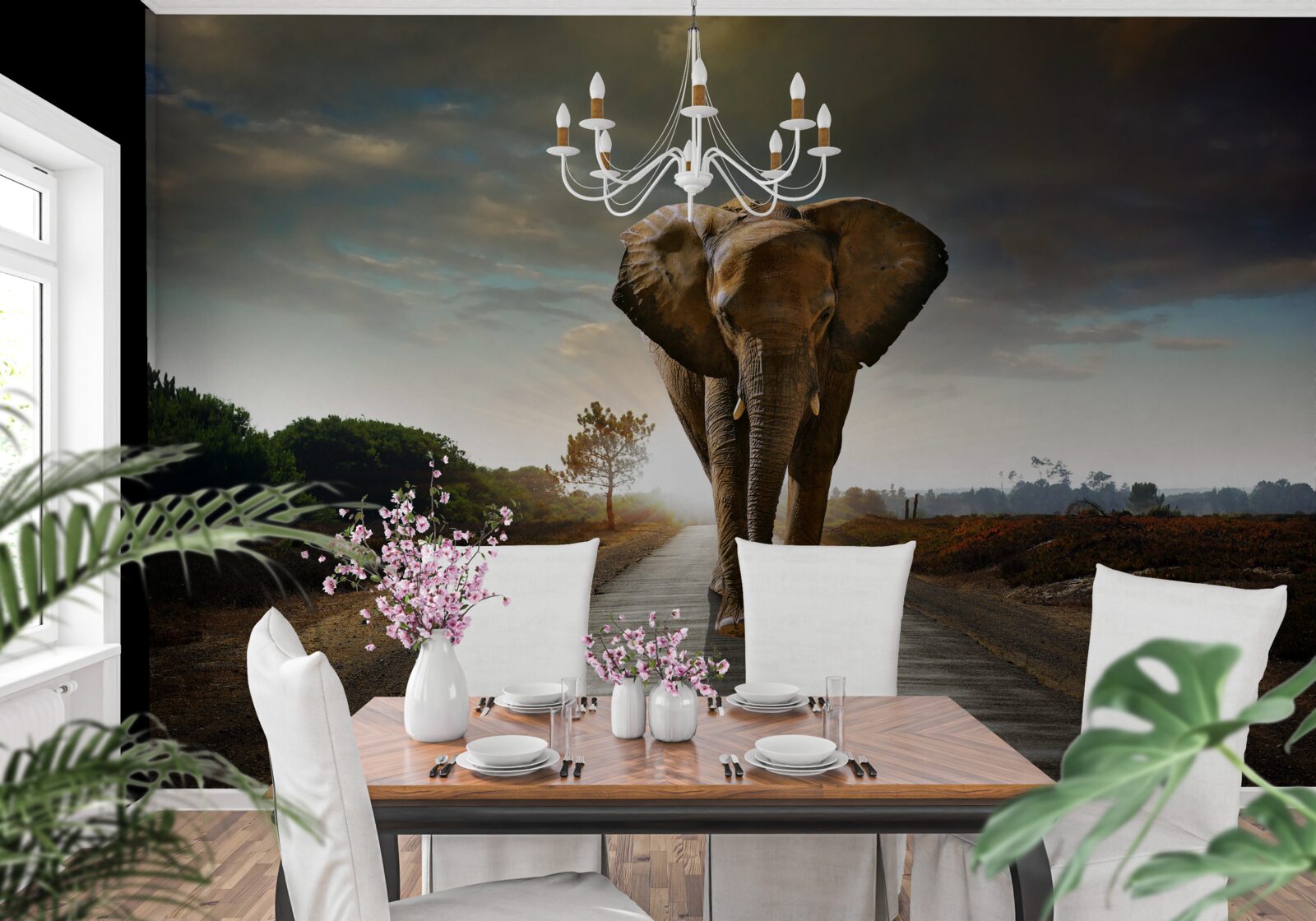 Papier peint le voyage de l'elephant continue