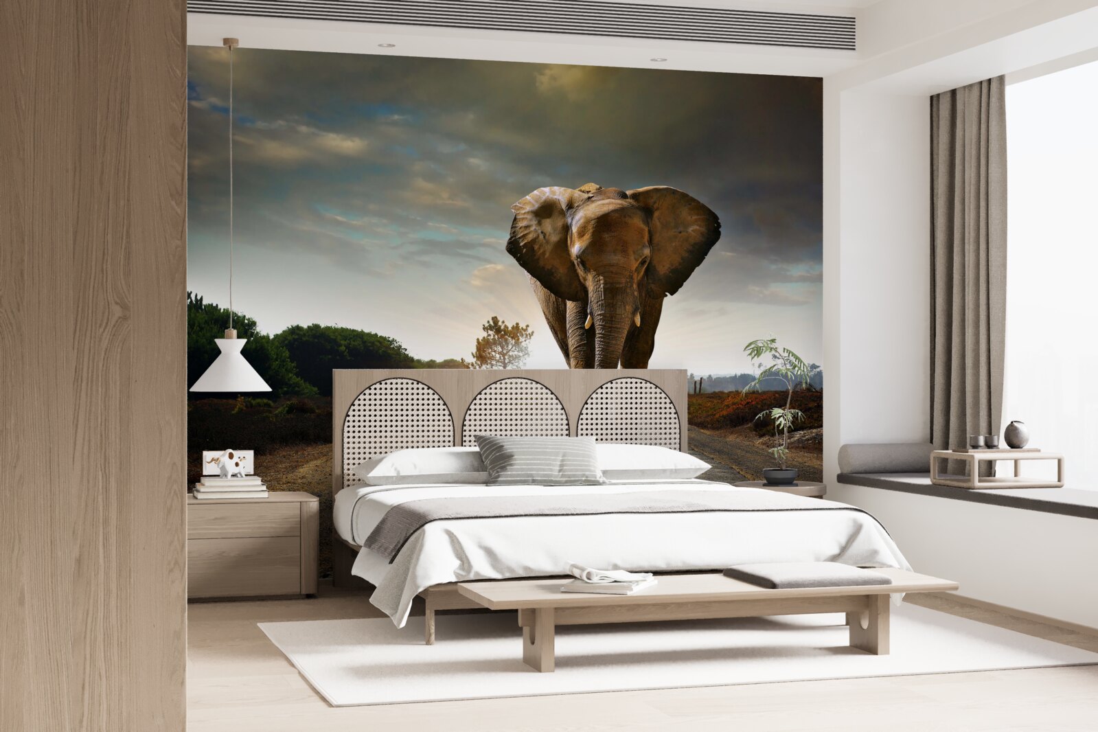 Papier peint le voyage de l'elephant continue