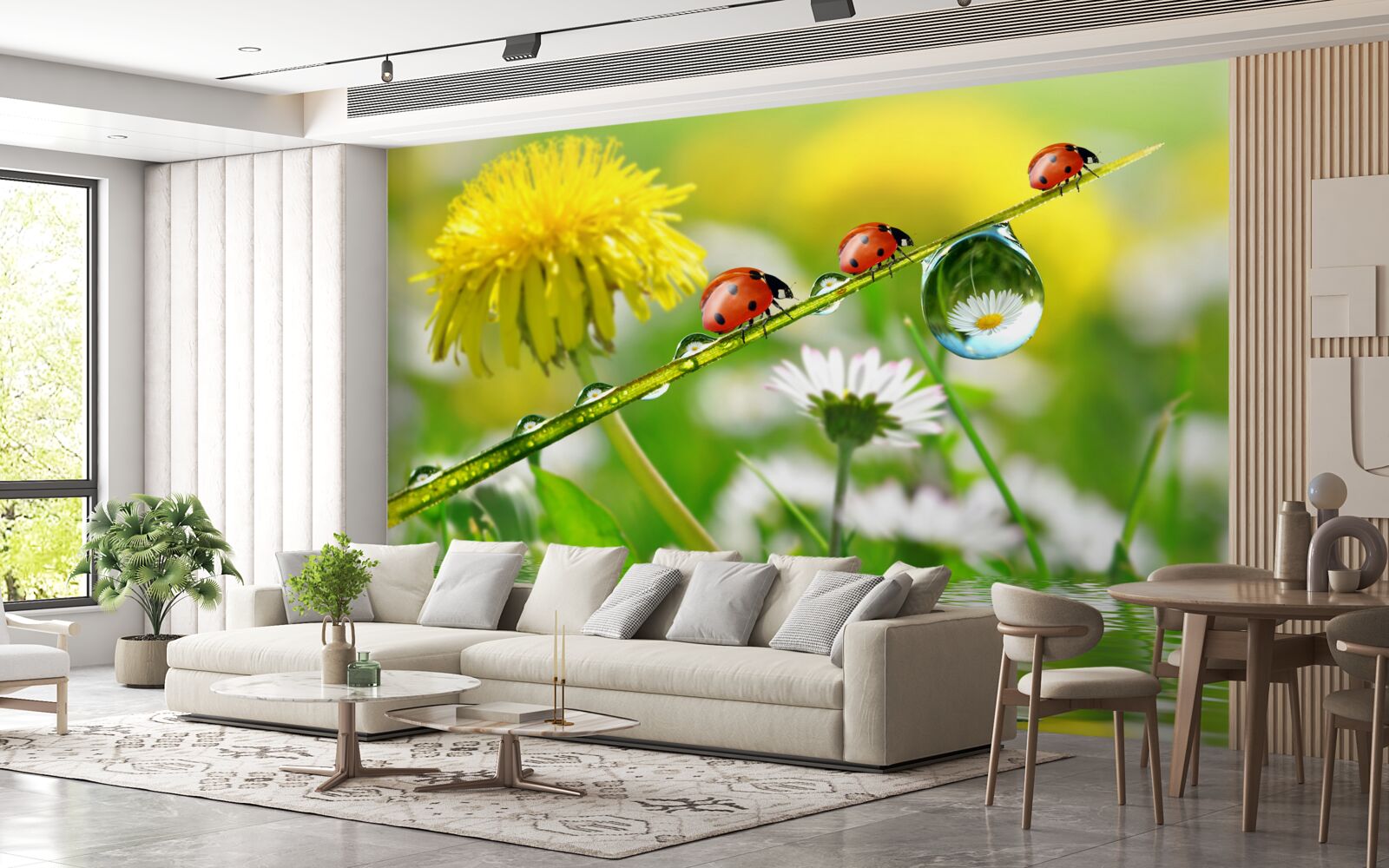 Papier peint coccinelle et pissenlit après l'orage