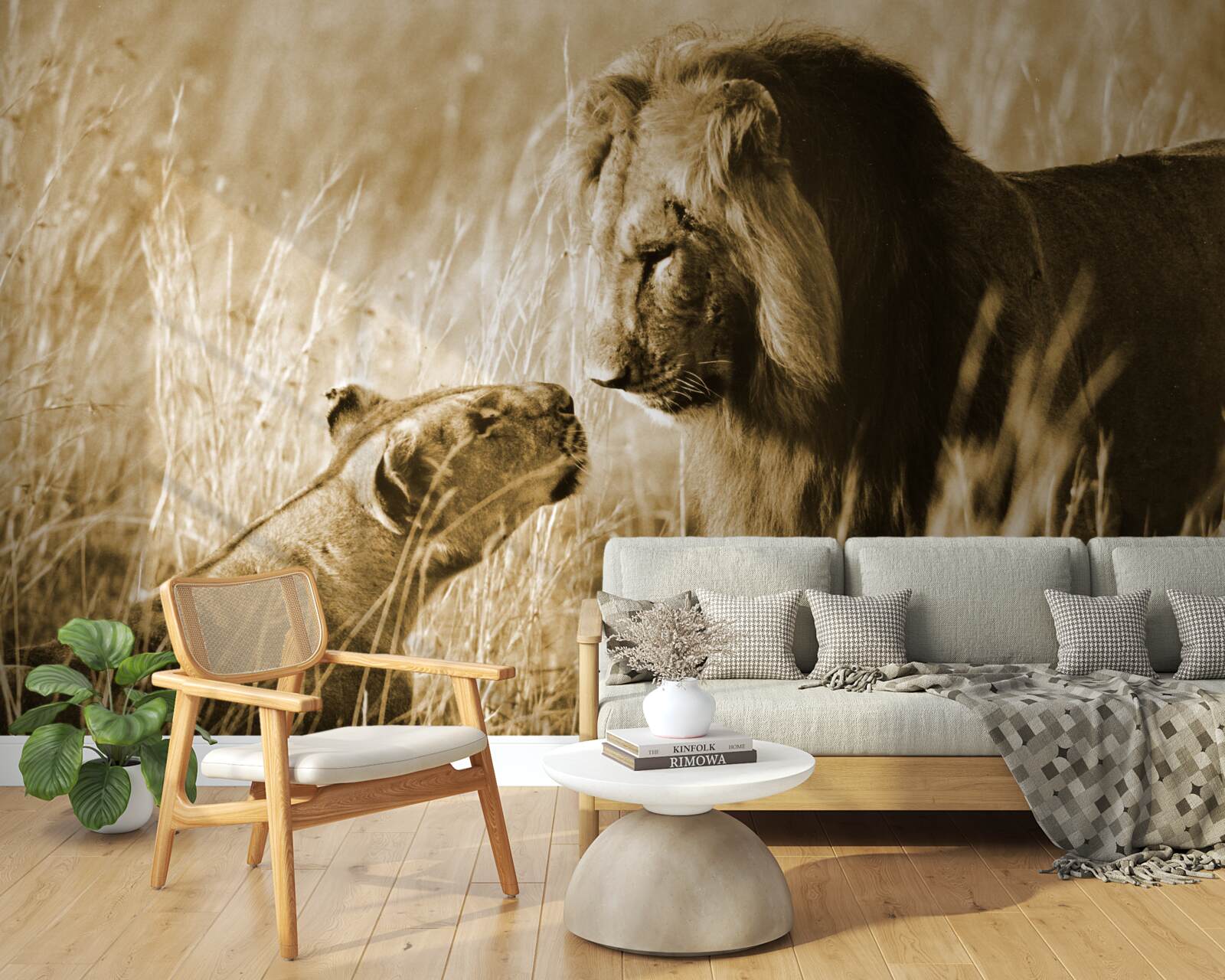 Papier peint le lion et la lionne apprennent à se connaître