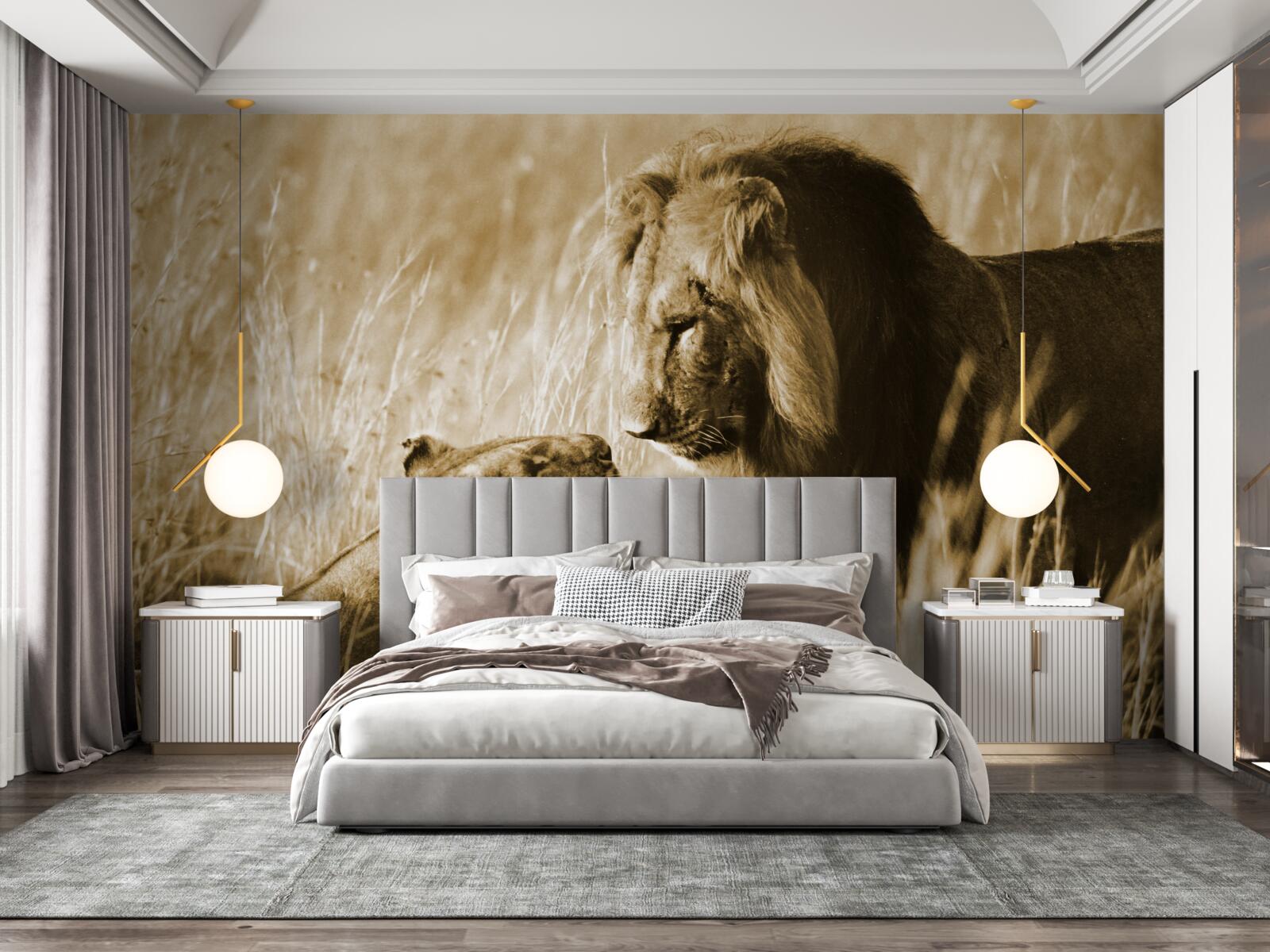 Papier peint le lion et la lionne apprennent à se connaître