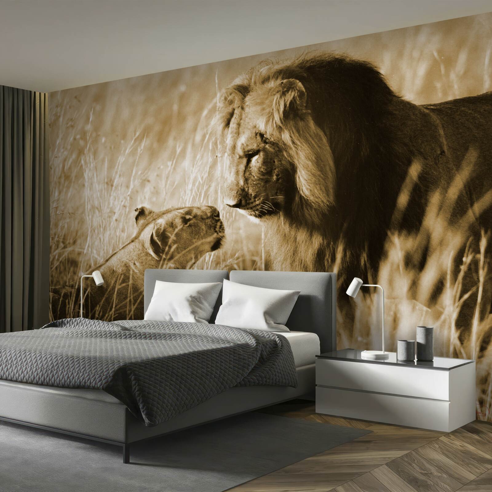 Papier peint le lion et la lionne apprennent à se connaître