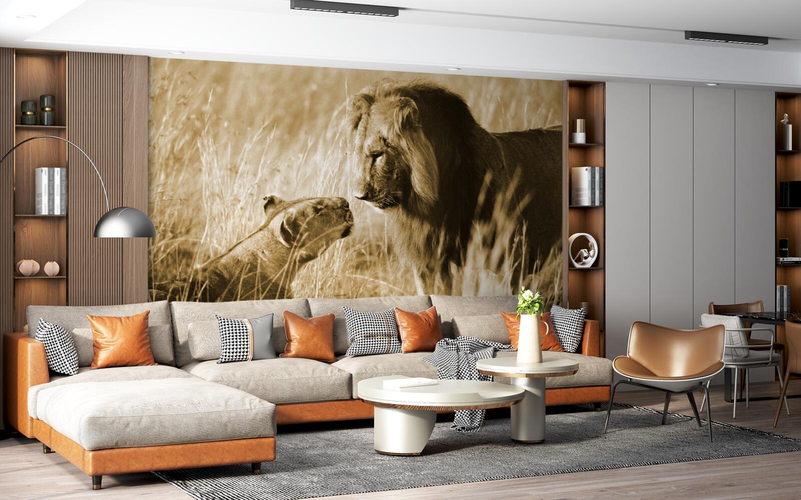 Papier peint le lion et la lionne apprennent à se connaître