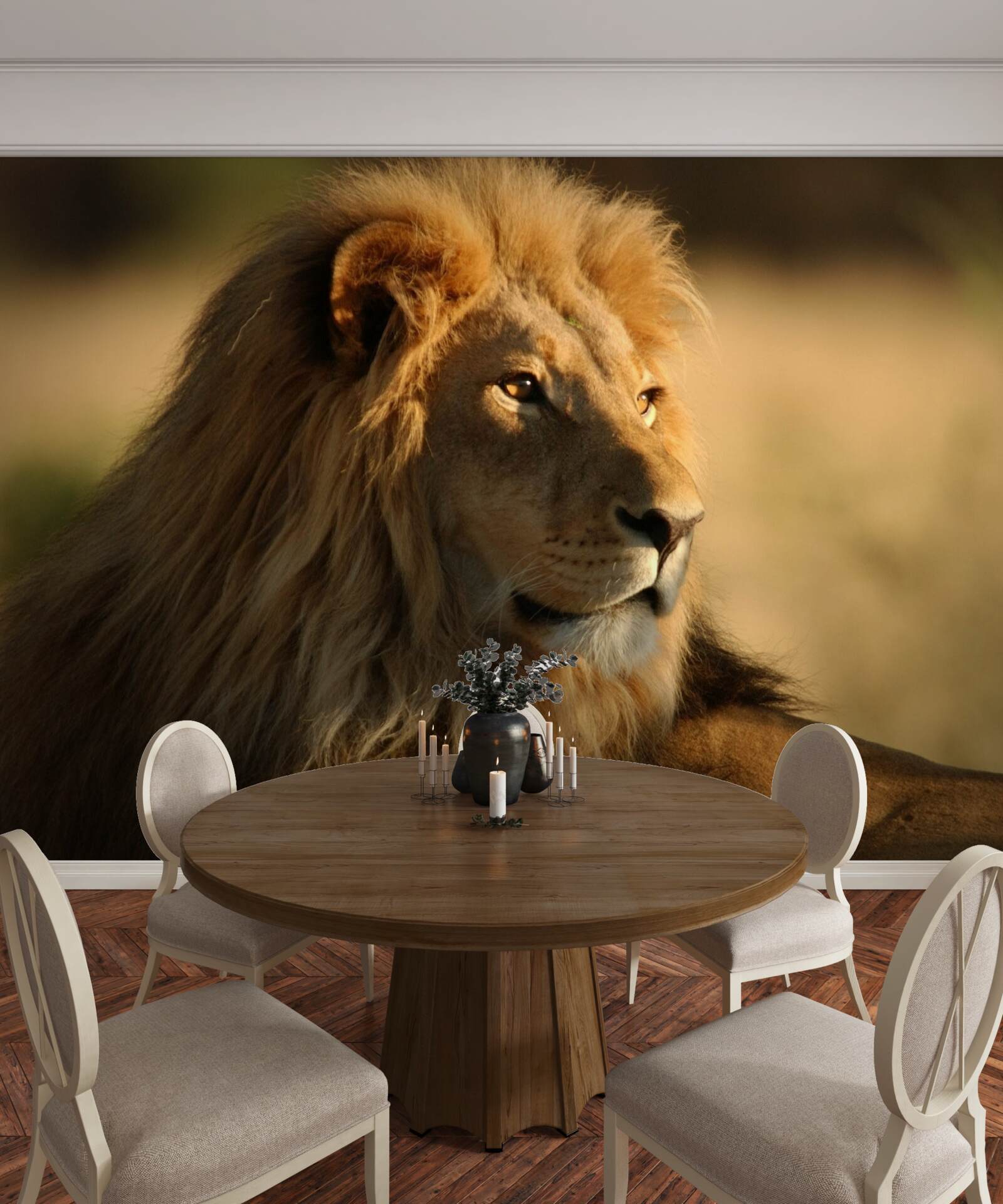 Papier peint monarque de savane en vacances