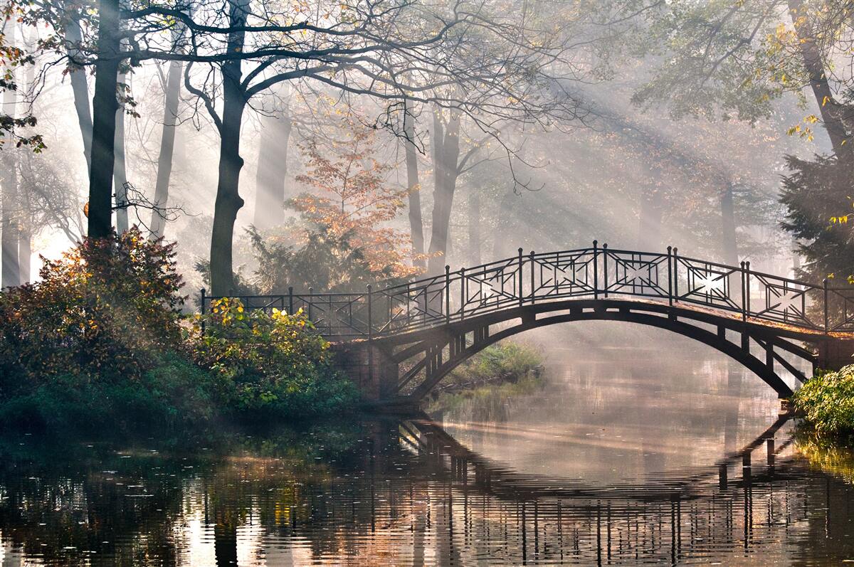 Papier peint le pont de la forêt brumeuse qui enjambe le lac est en bois