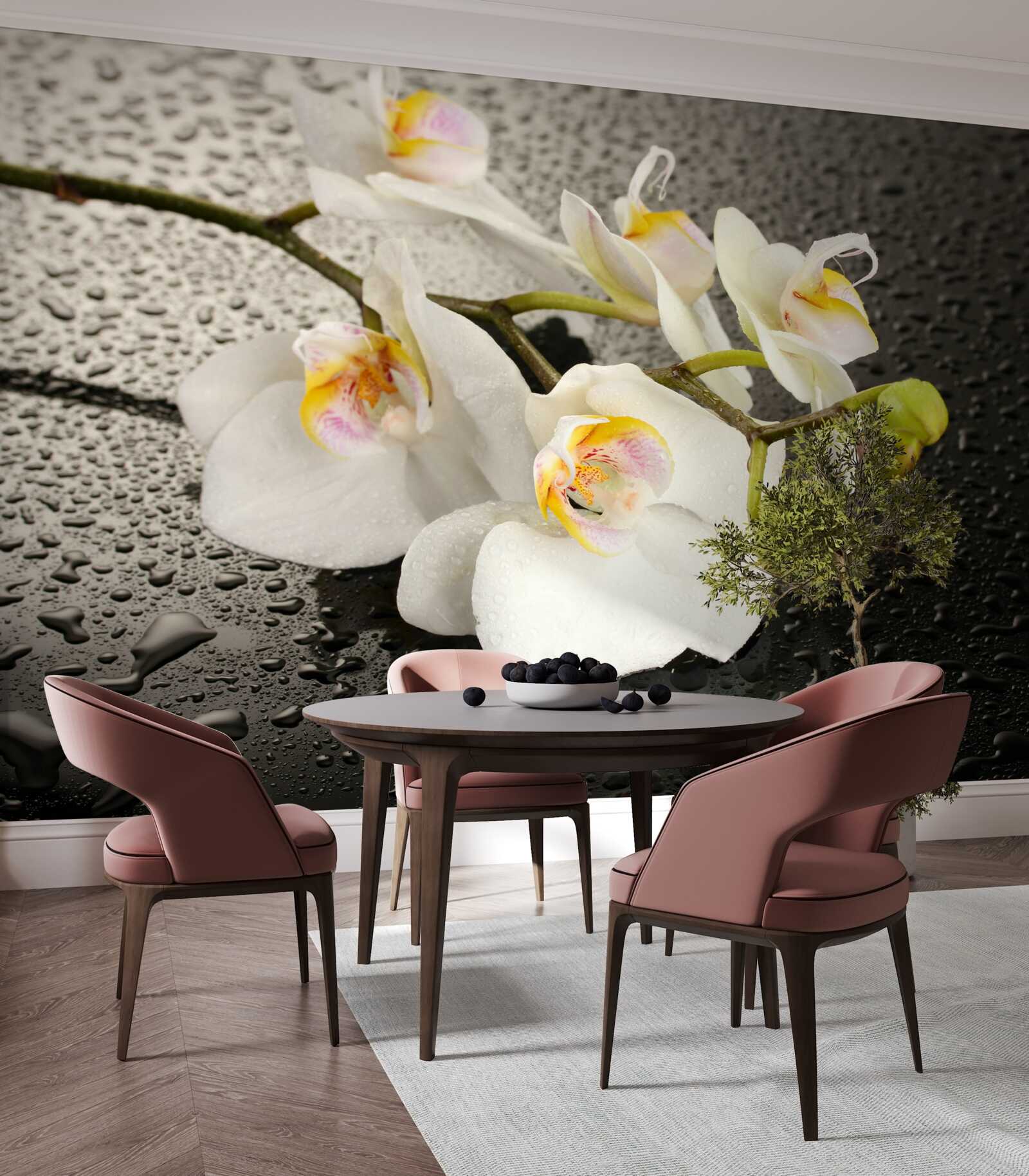 Papier peint Orchidée blanche comme neige après une forte pluie