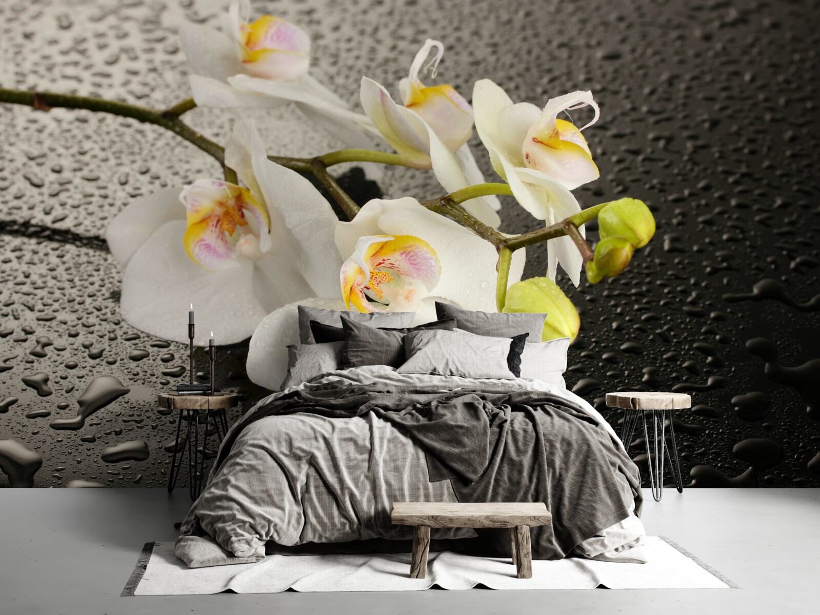 Papier peint Orchidée blanche comme neige après une forte pluie