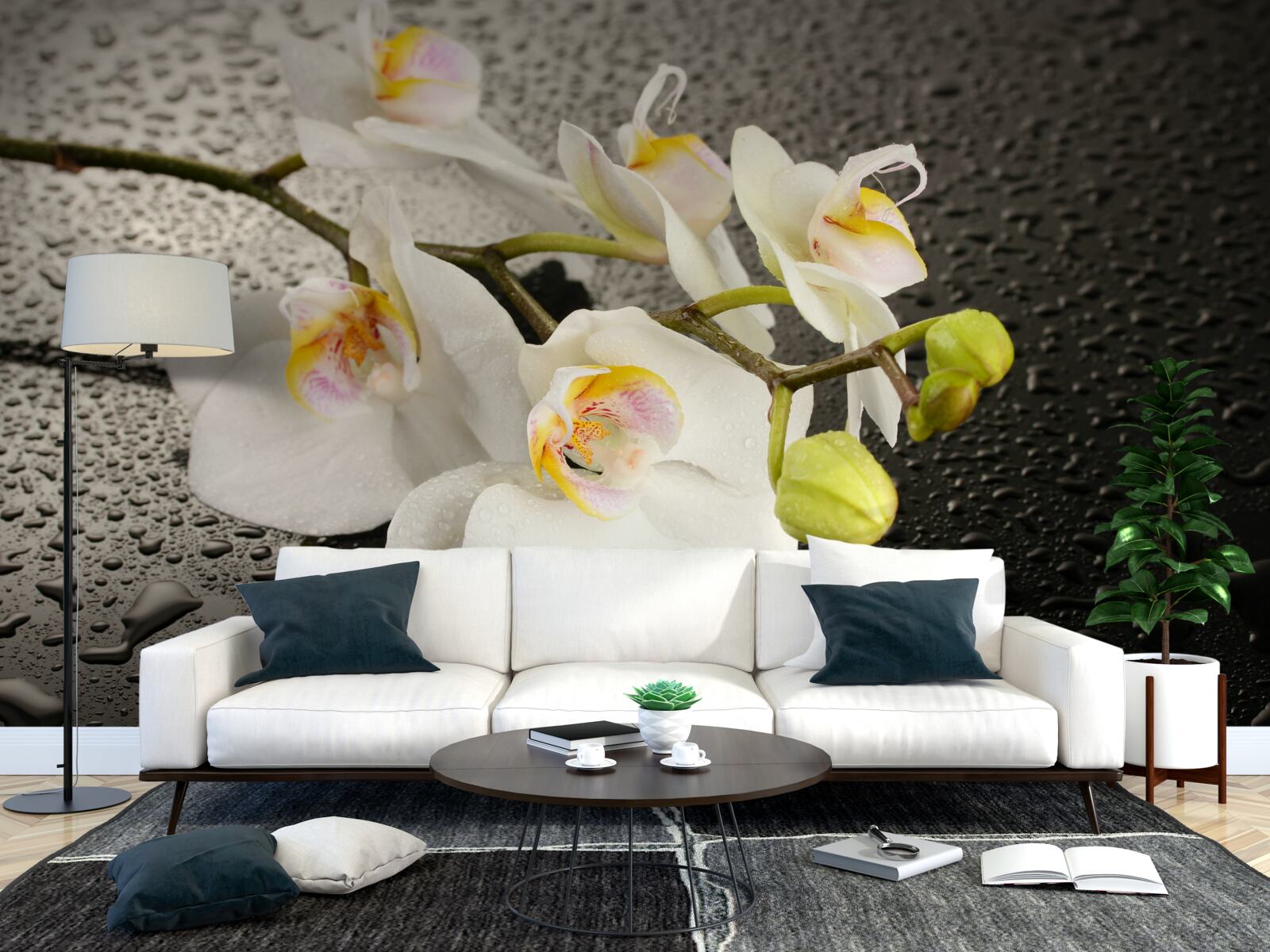 Papier peint Orchidée blanche comme neige après une forte pluie