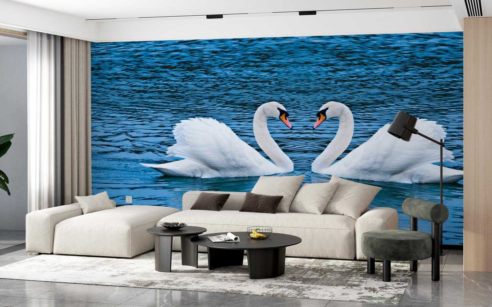 Papier peint un couple de cygnes à la surface de l'eau crée une image familiale idyllique