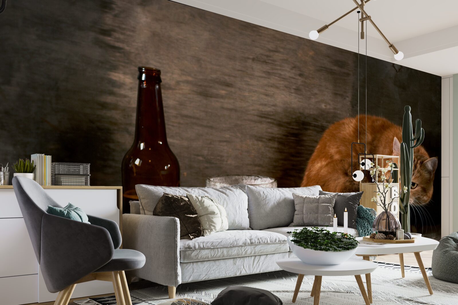 Papier peint Appât pour animaux de compagnie et animaux marins à fourrure rouge