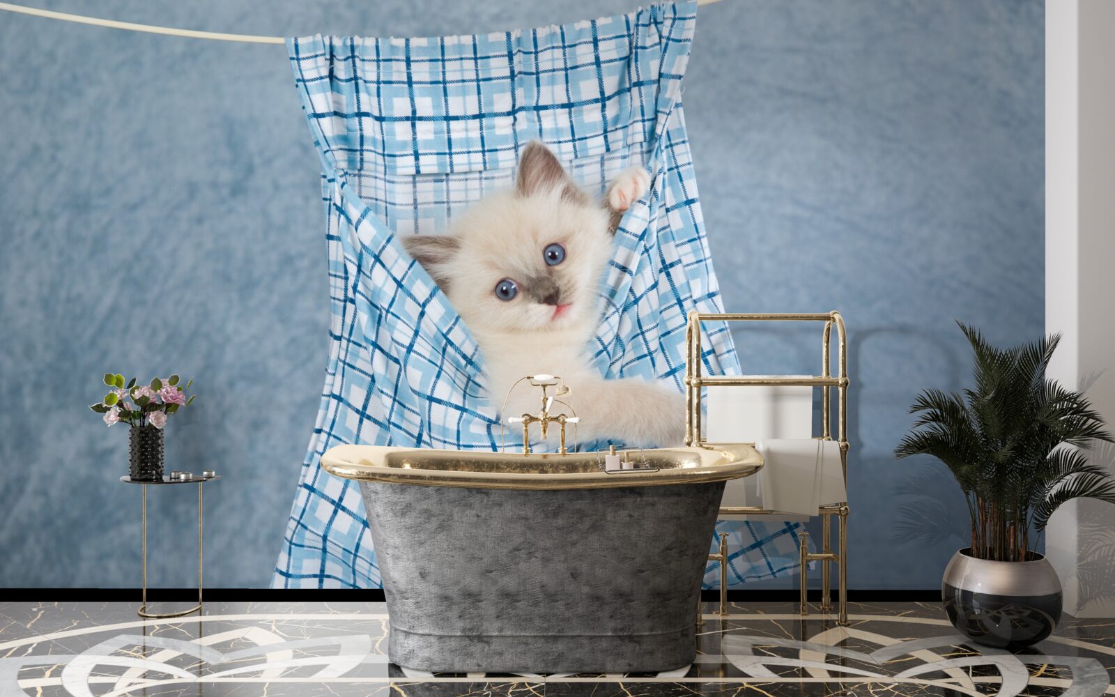 Papier peint Le sac s'est avéré être un piège pour un chat siamois.