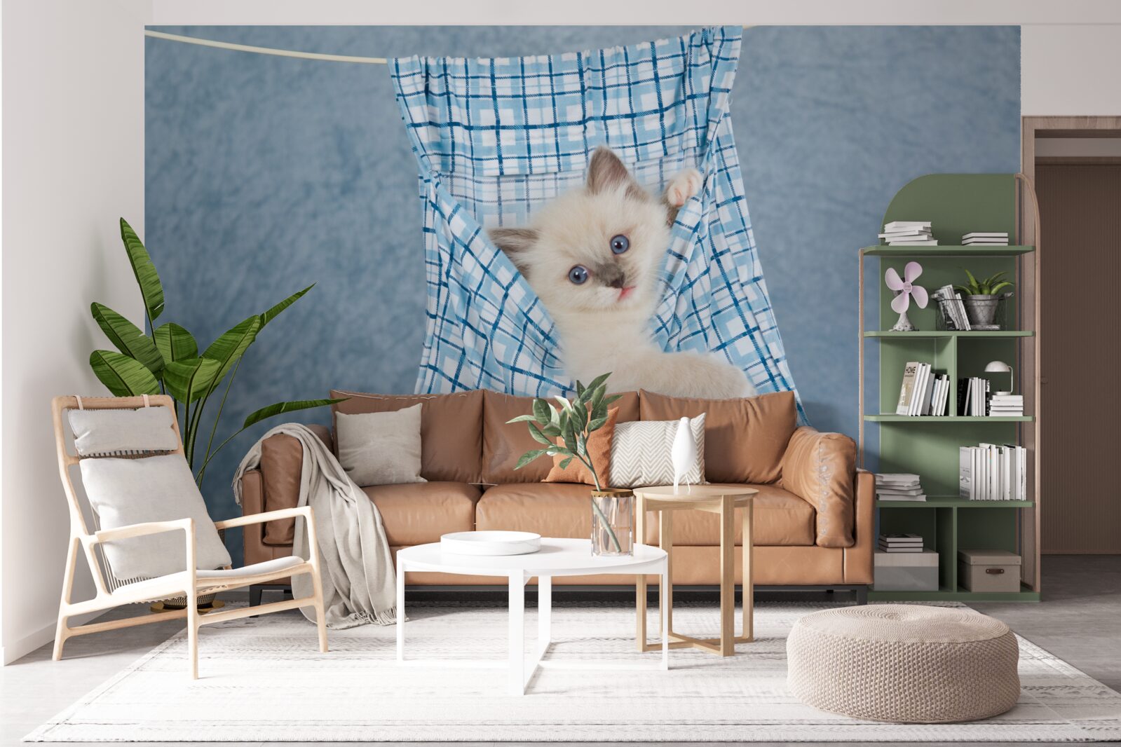 Papier peint Le sac s'est avéré être un piège pour un chat siamois.