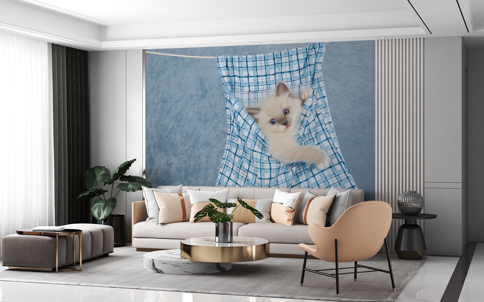 Papier peint Le sac s'est avéré être un piège pour un chat siamois.