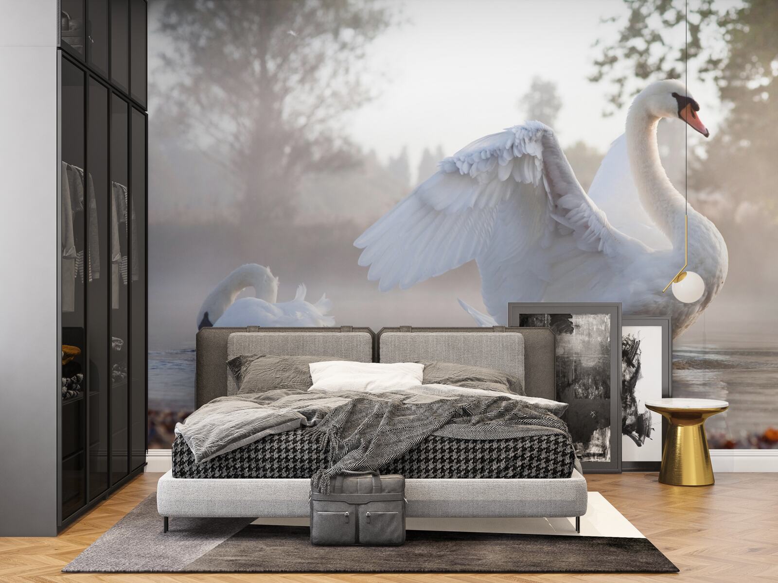 Papier peint majestueux cygne blanc comme neige flottant sur l'eau