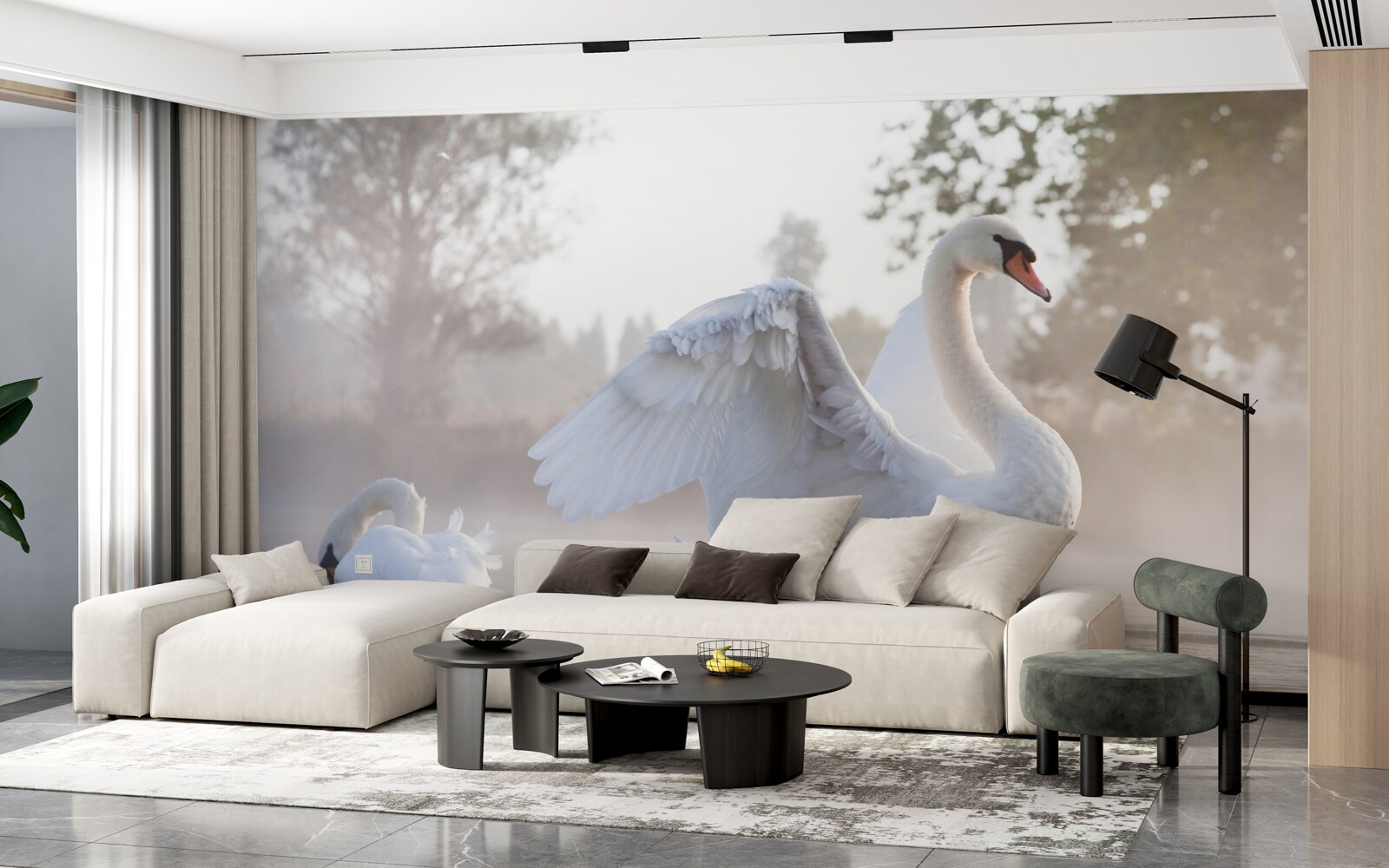 Papier peint majestueux cygne blanc comme neige flottant sur l'eau