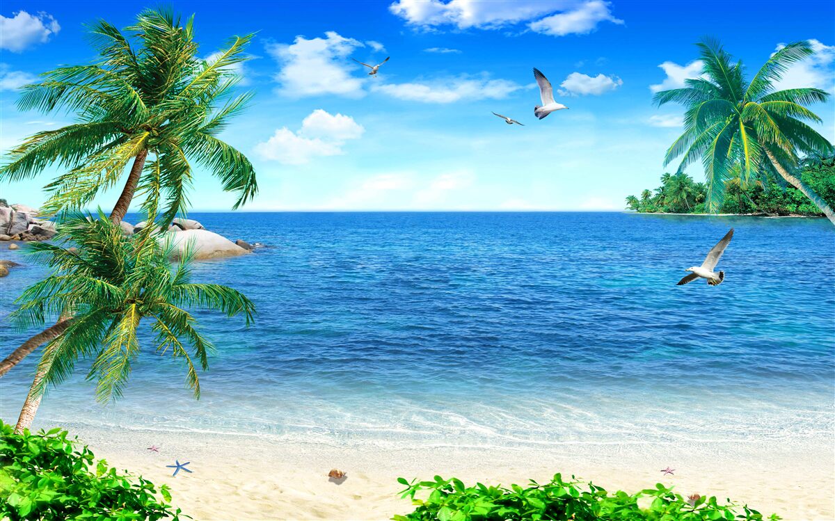 Papier peint littoral de palmiers dans la région tropicale