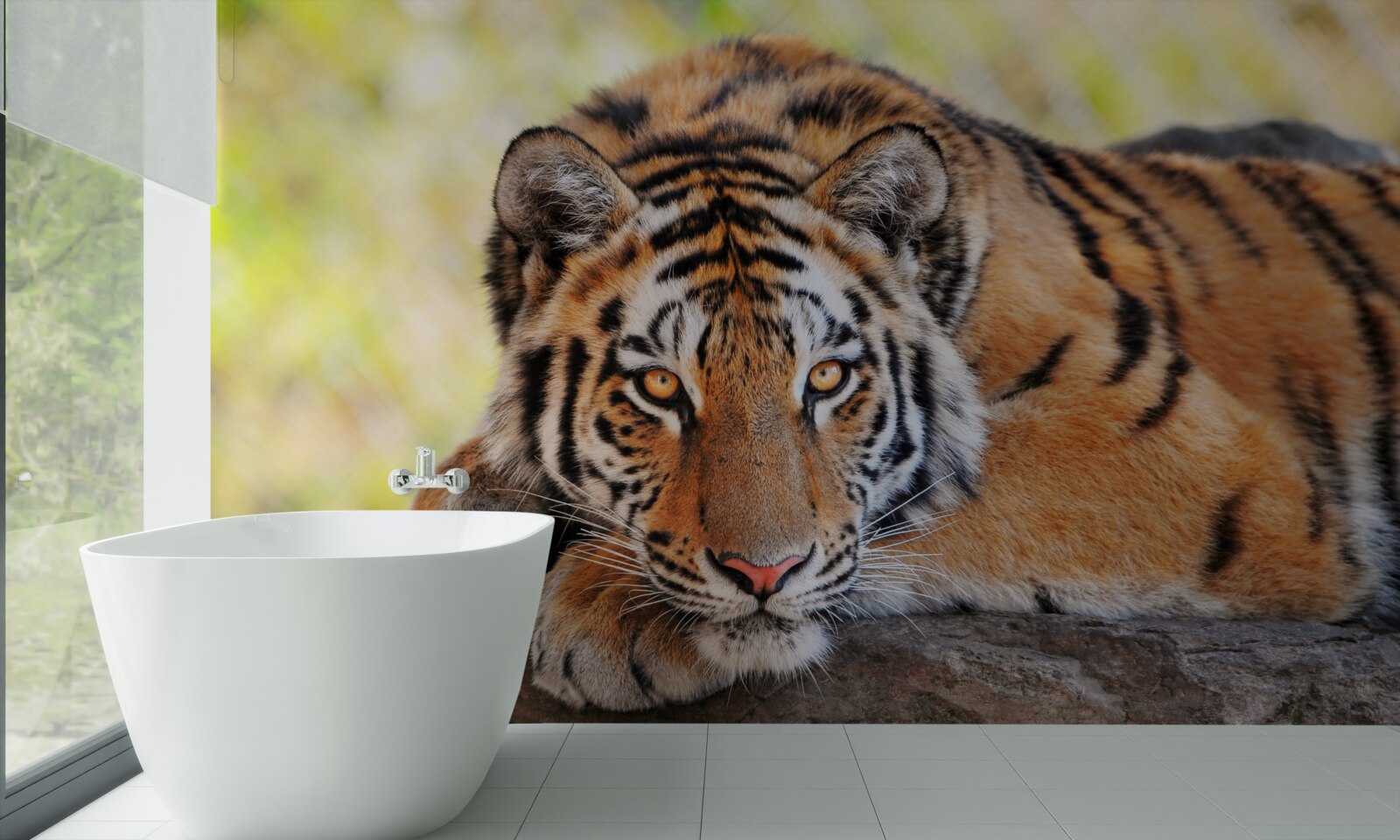 Papier peint tigre prédateur pris en embuscade