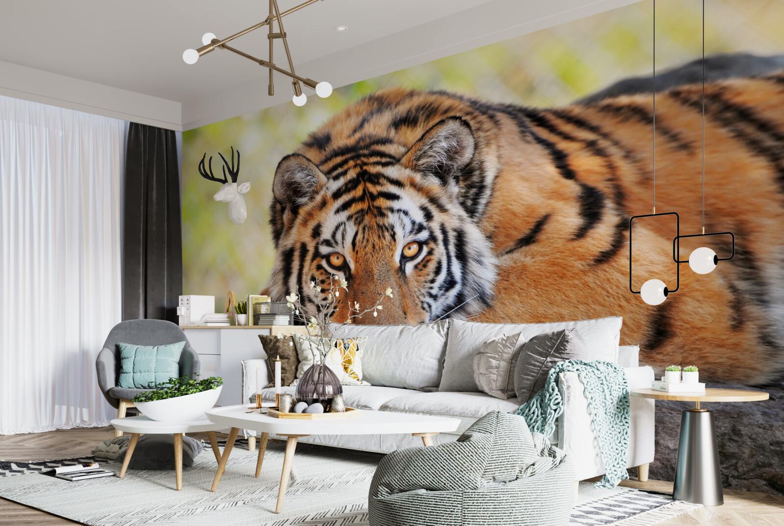 Papier peint tigre prédateur pris en embuscade