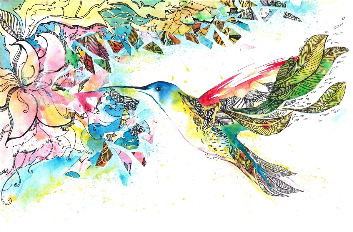 Papier peint les colibris se nourrissent du nectar des fleurs