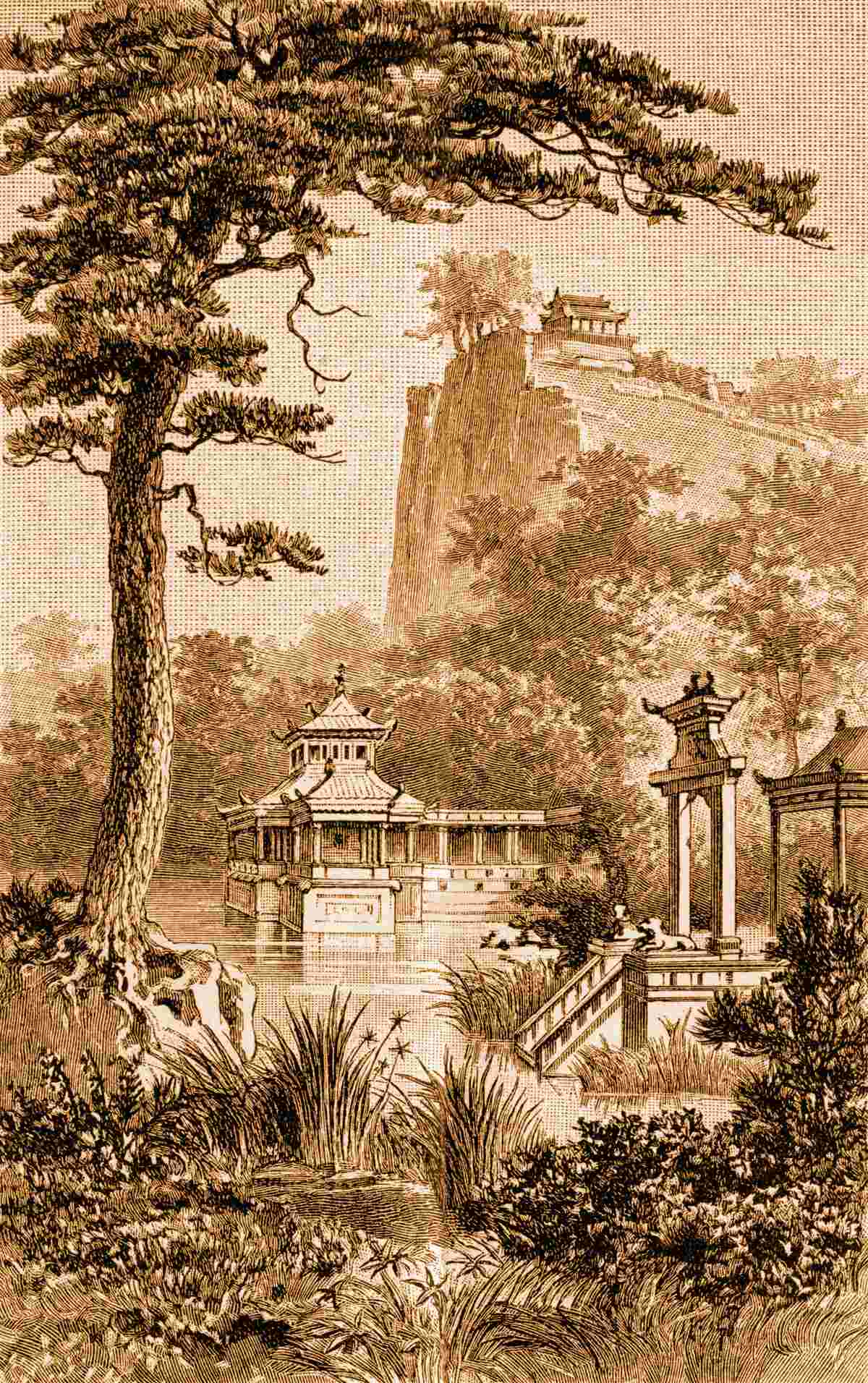 Papier peint jardin chinois luxuriant