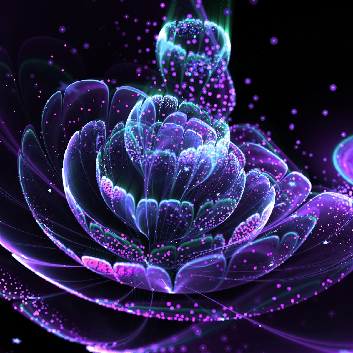 Papier peint fleur bleue abstraite sur fond noir