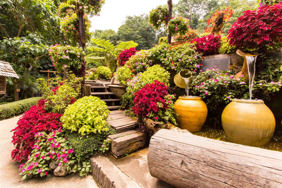 Papier peint la beauté du paysage créée par les fleurs
