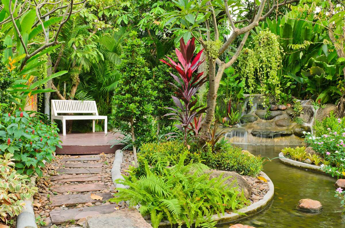 Papier peint paradis tropical dans une zone forestière près d'un étang
