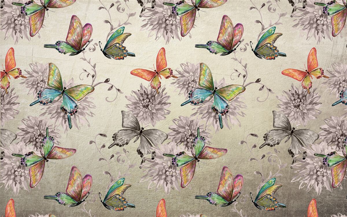 Papier peint il y a beaucoup de papillons, tous de couleurs différentes