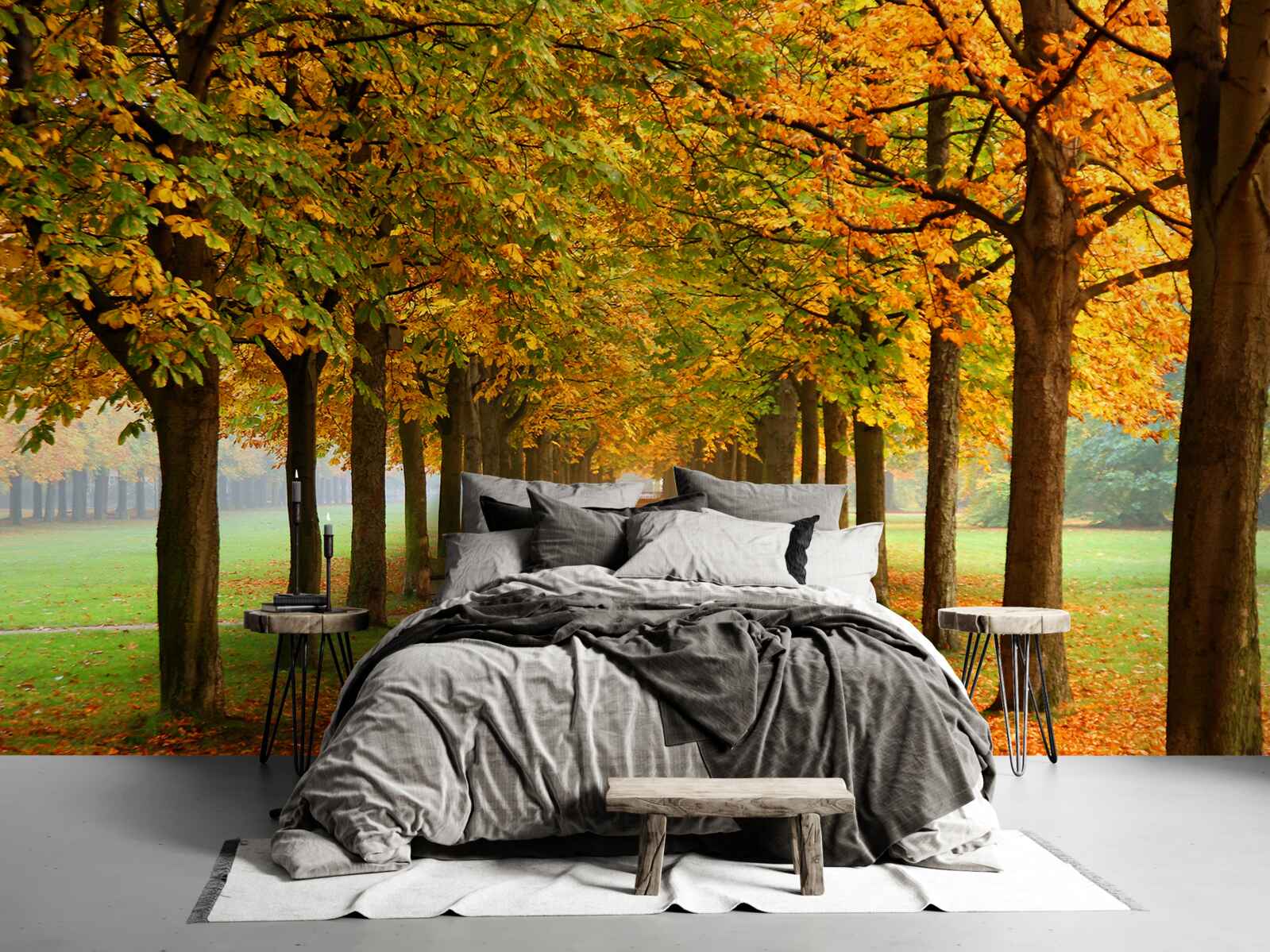 Papier peint chemin d'automne sans fin