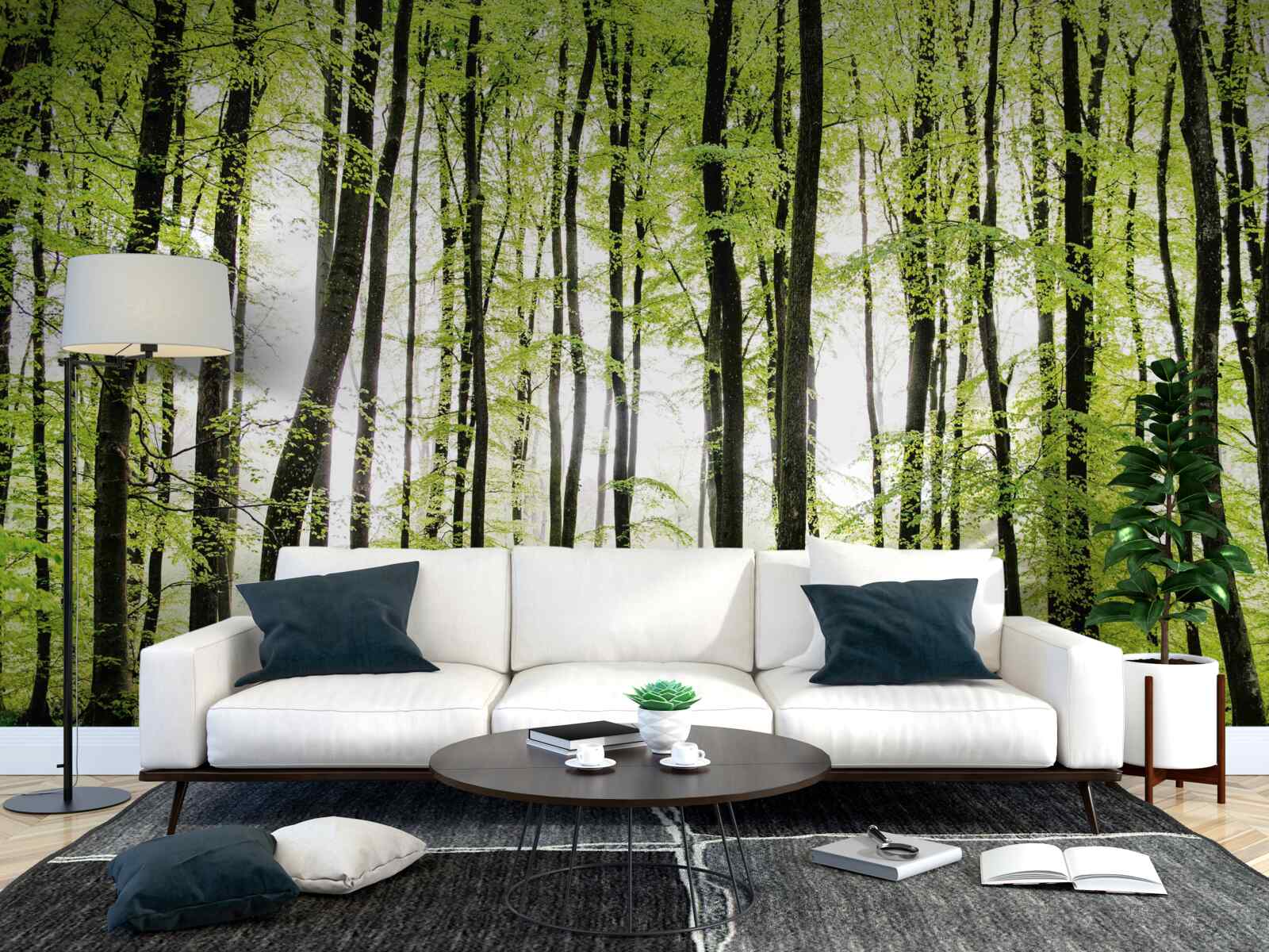 Papier peint les arbres du matin s'élèvent comme des colonnes élancées