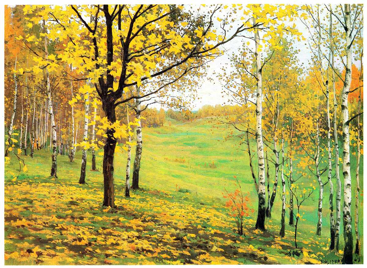 Papier peint La forêt d'automne se pare de teintes étonnantes