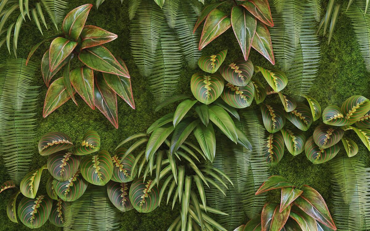 Papier peint les feuilles des bananes et des fougères sont vert foncé