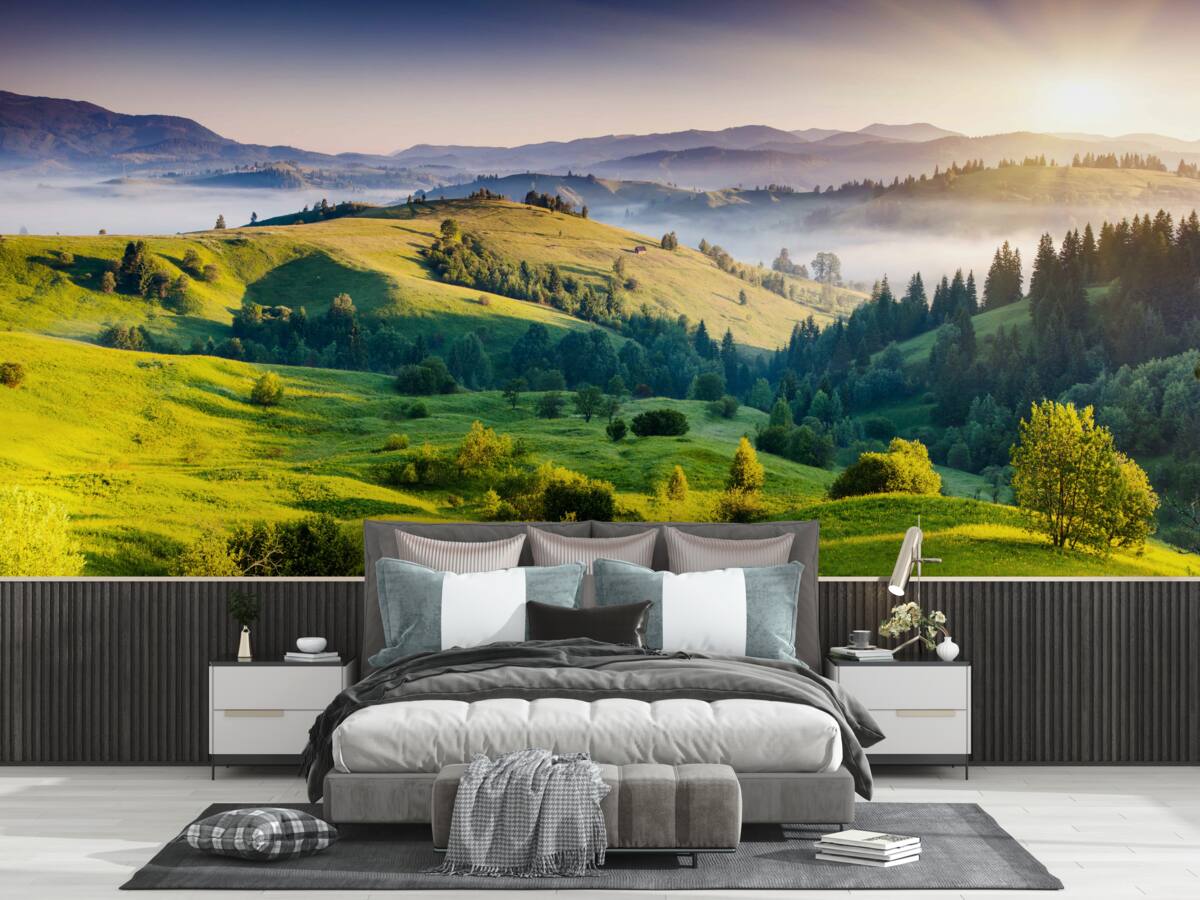 Papier peint les prairies de montagne s'animent dans les chauds rayons de l'aube