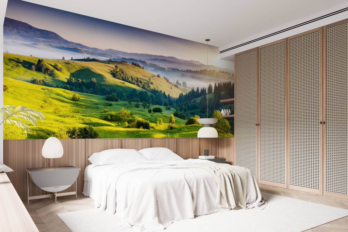 Papier peint les prairies de montagne s'animent dans les chauds rayons de l'aube