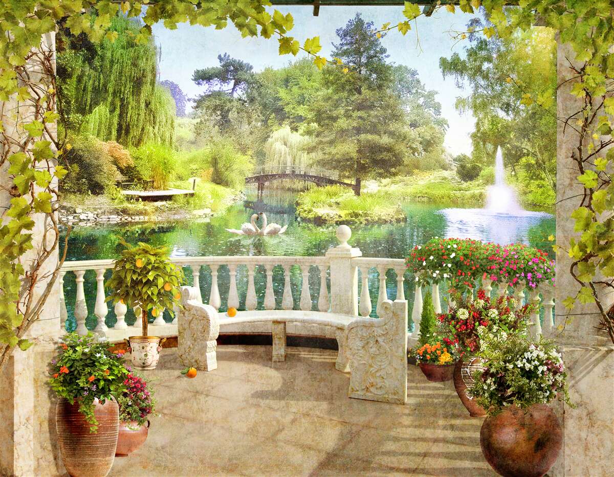 Papier peint Cygnes au bord du lac sur la terrasse