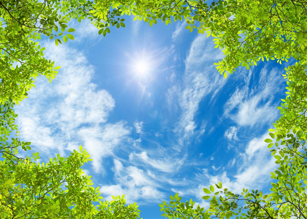 Papier peint le vert dans lequel le soleil est enfoui et le bleu du ciel