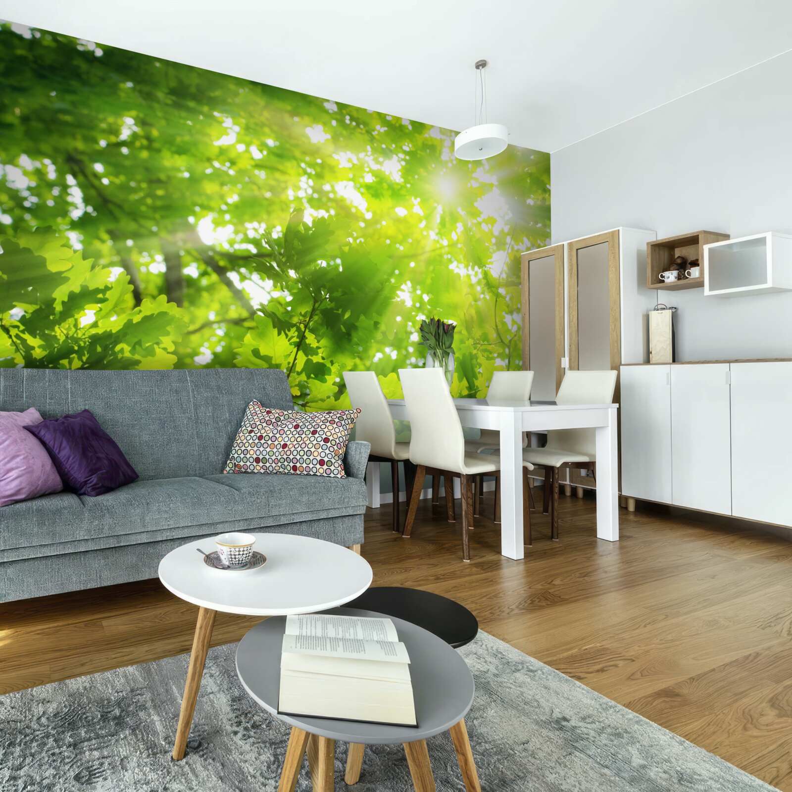 Papier peint des rayons de soleil traversant le maquis vert