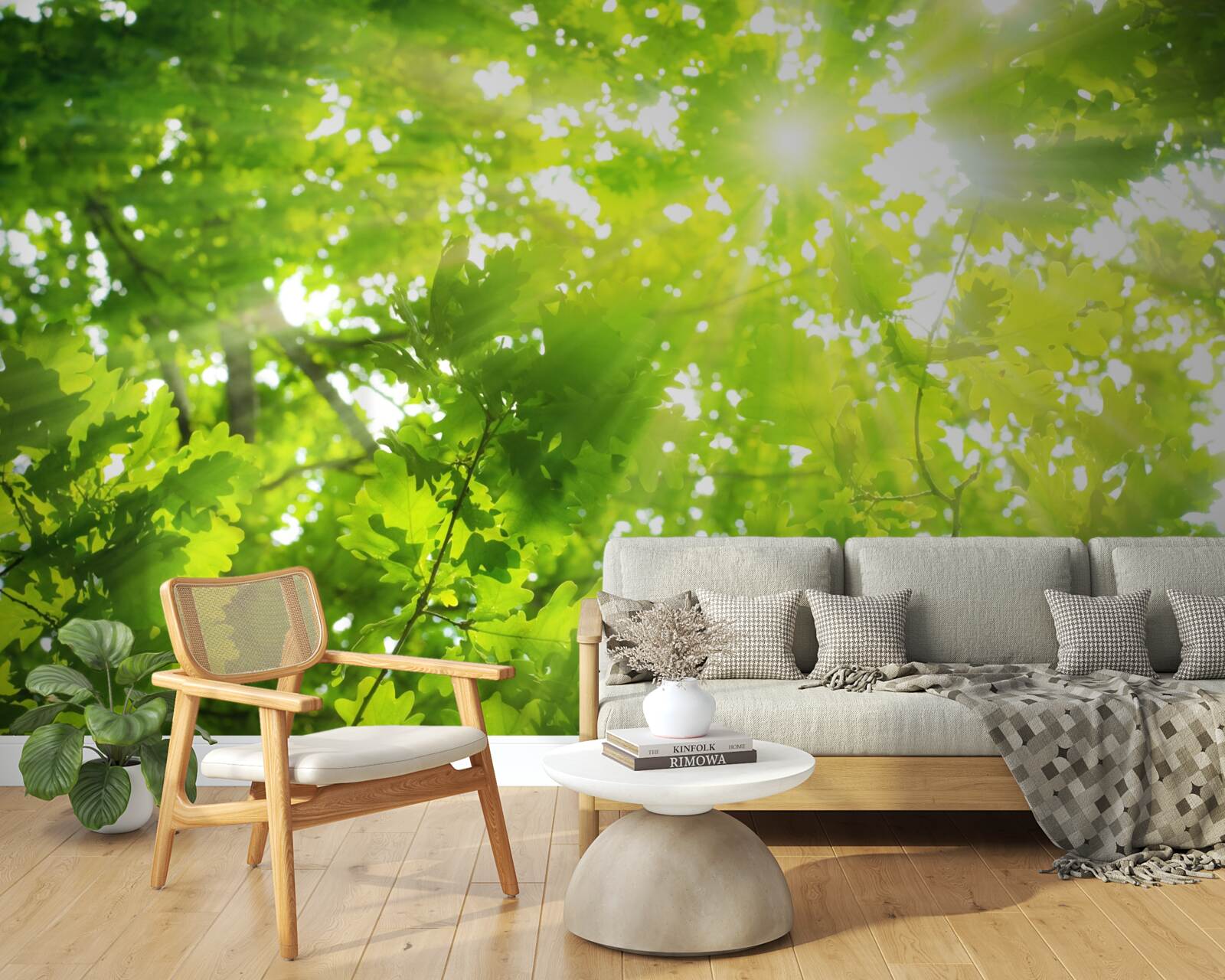 Papier peint des rayons de soleil traversant le maquis vert