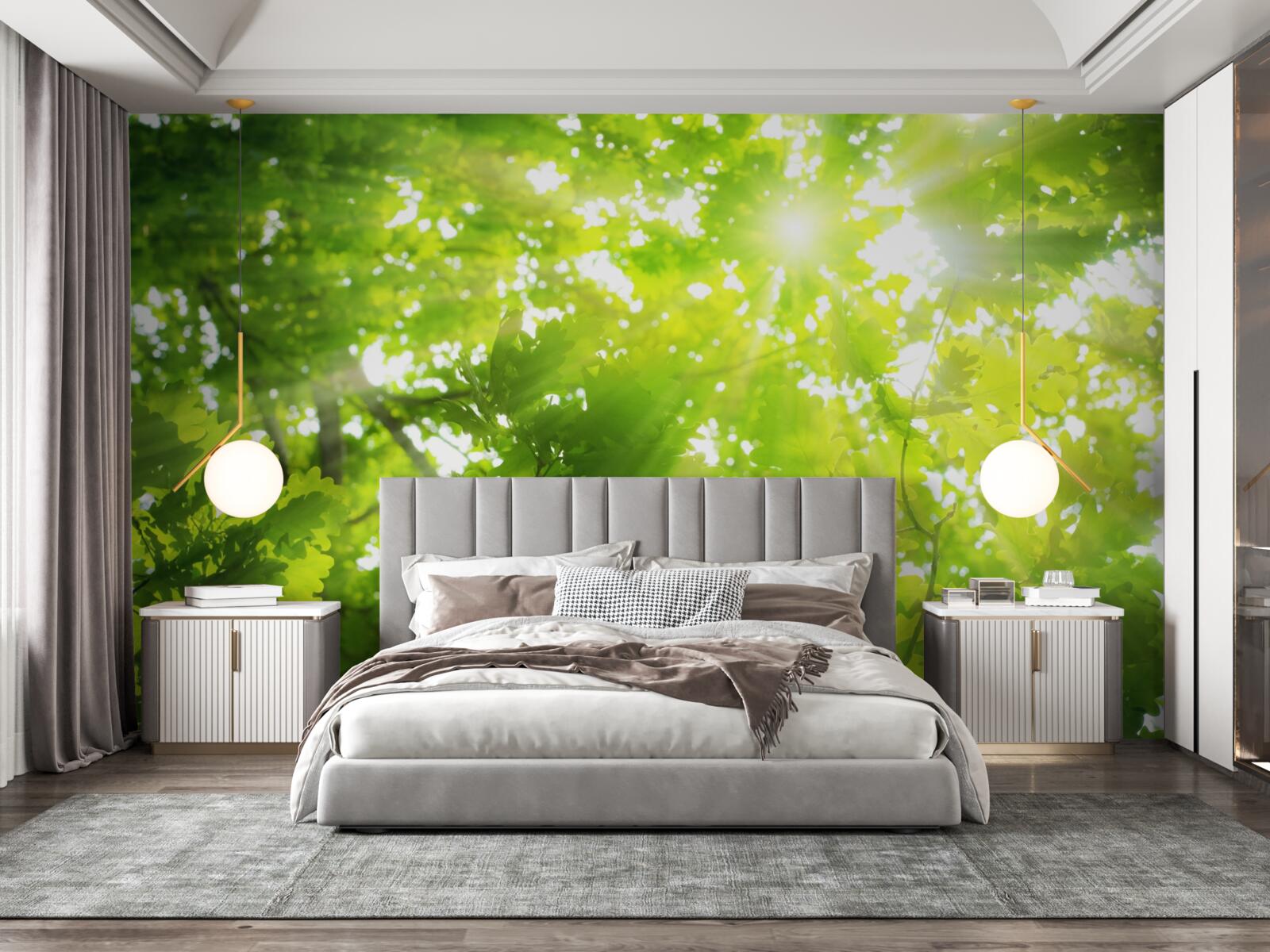 Papier peint des rayons de soleil traversant le maquis vert