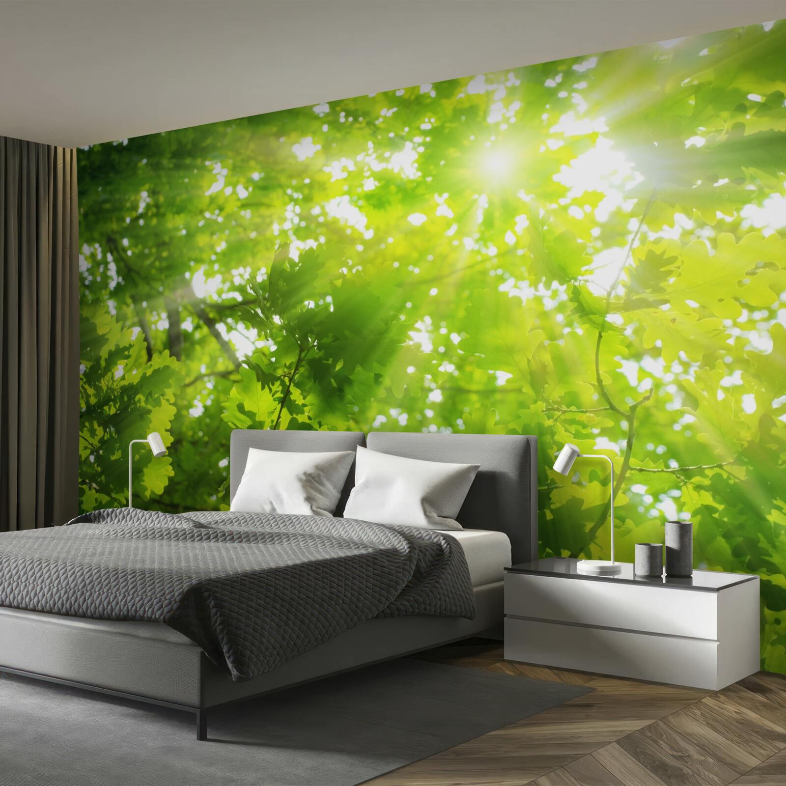 Papier peint des rayons de soleil traversant le maquis vert