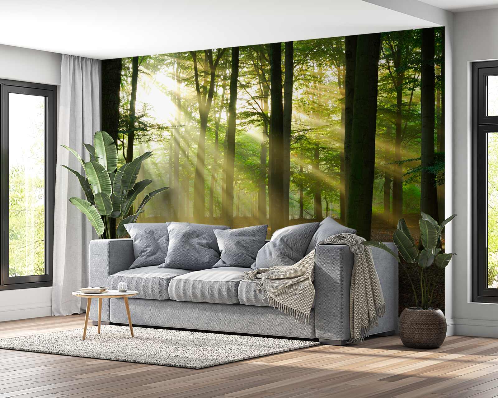 Papier peint les rayons du soleil pénètrent la brume matinale dans le désert