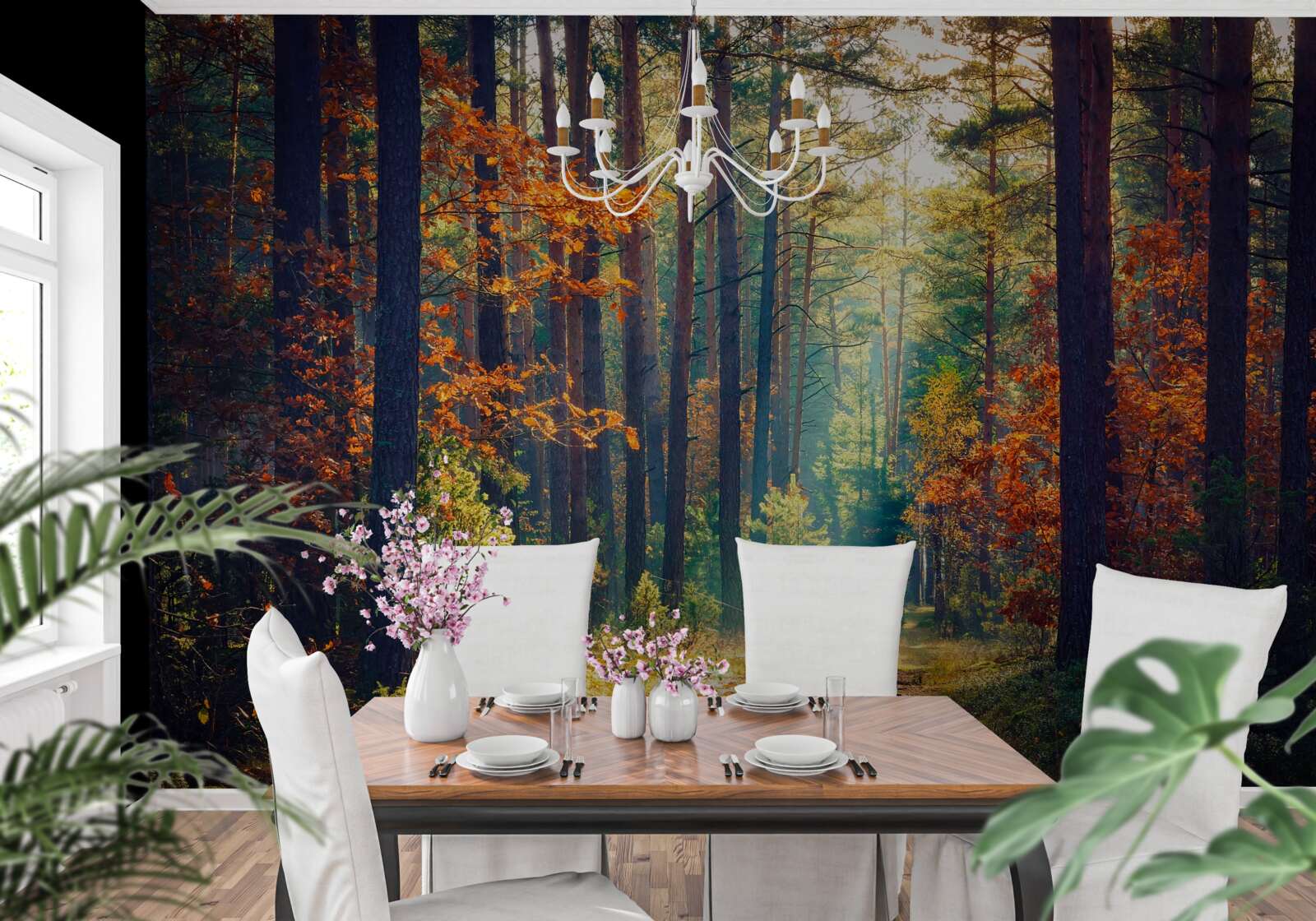 Papier peint Un rayon de soleil dans une forêt d'automne