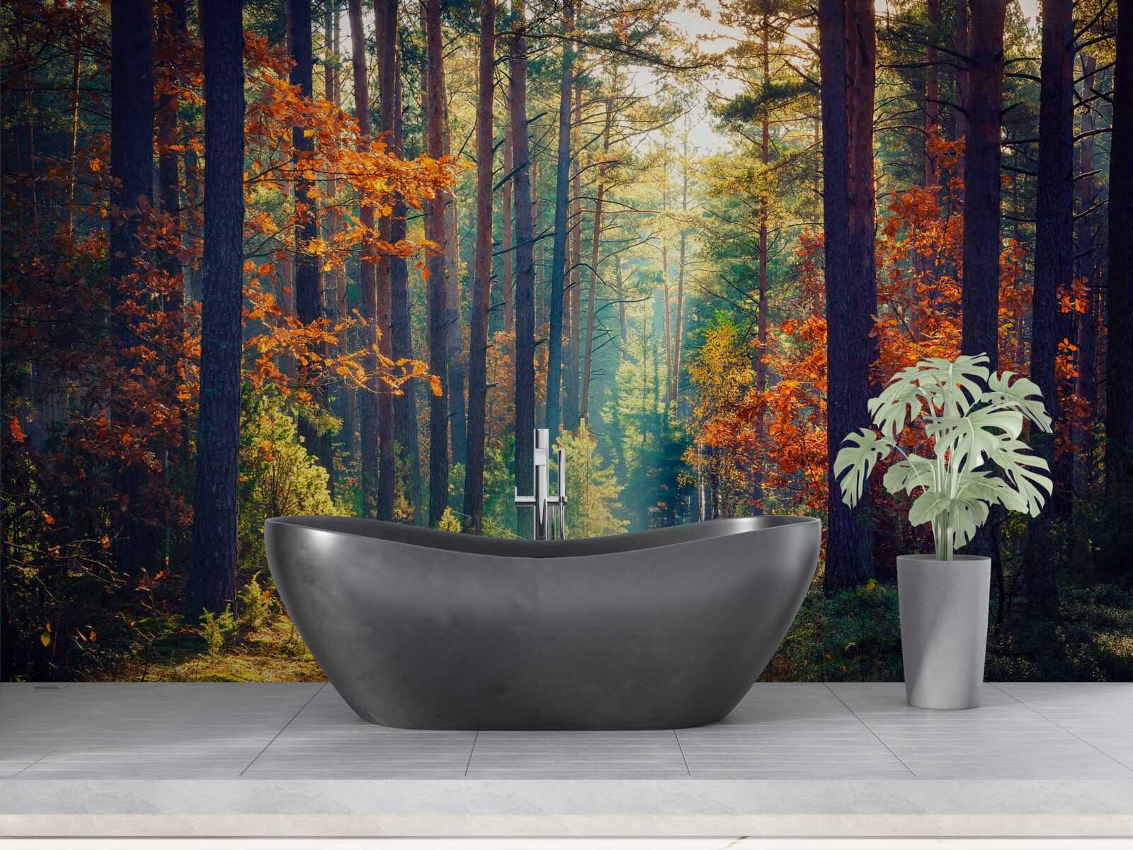 Papier peint Un rayon de soleil dans une forêt d'automne